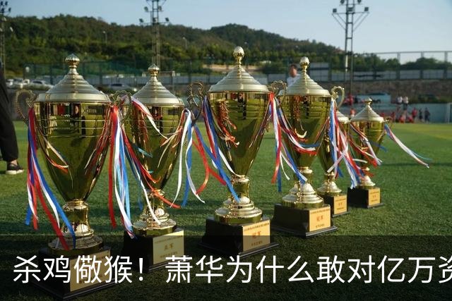 杀鸡儆猴！萧华为什么敢对亿万资产的老板下死手 却放过伦纳德？